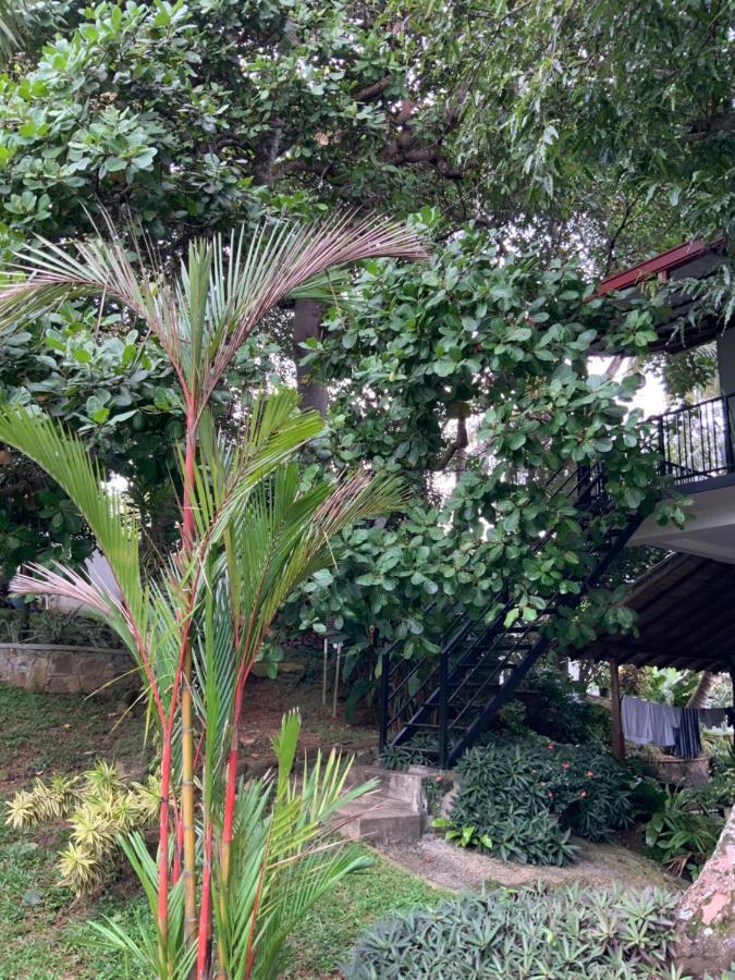 Lali Villa & Fruit Garden Galle Buitenkant foto