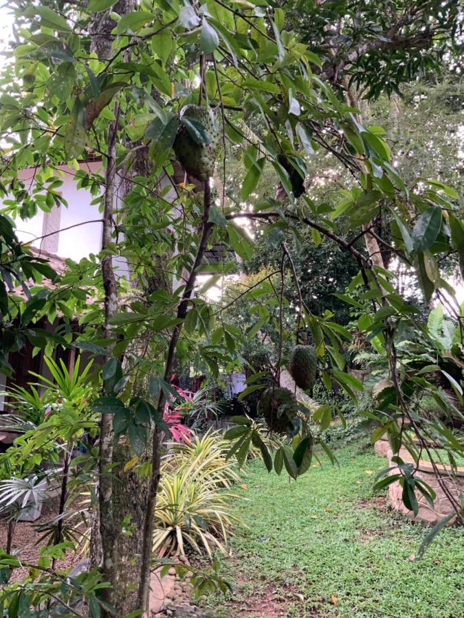 Lali Villa & Fruit Garden Galle Buitenkant foto