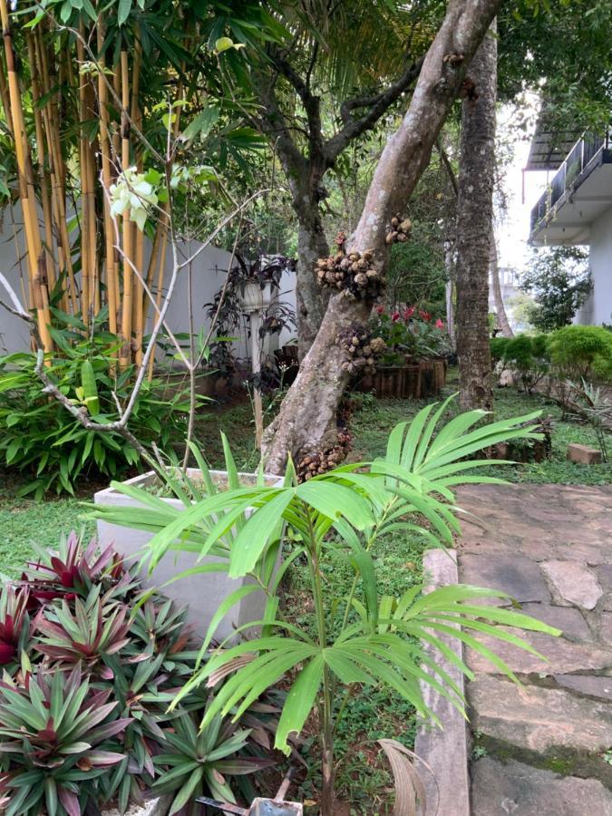 Lali Villa & Fruit Garden Galle Buitenkant foto