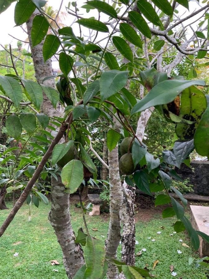 Lali Villa & Fruit Garden Galle Buitenkant foto
