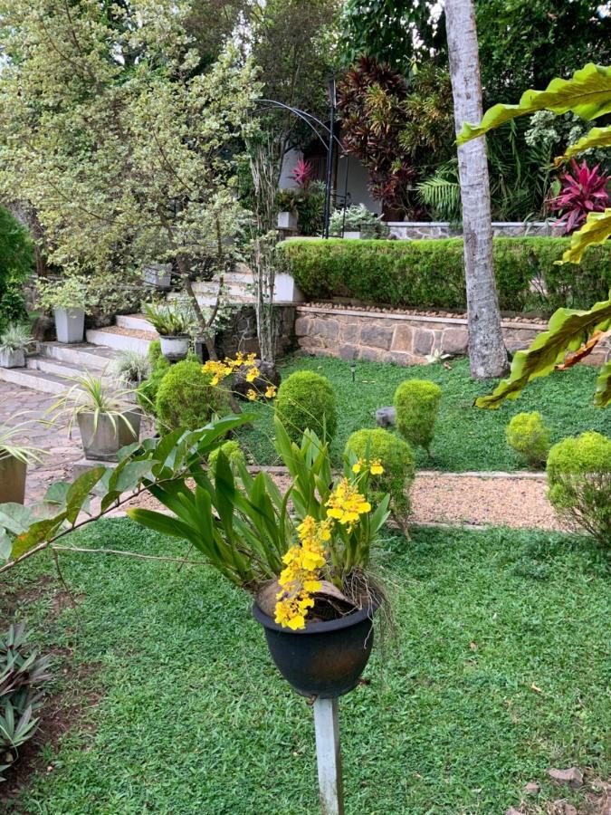Lali Villa & Fruit Garden Galle Buitenkant foto