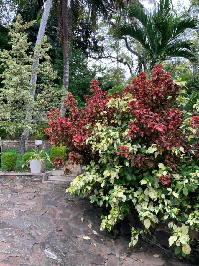 Lali Villa & Fruit Garden Galle Buitenkant foto