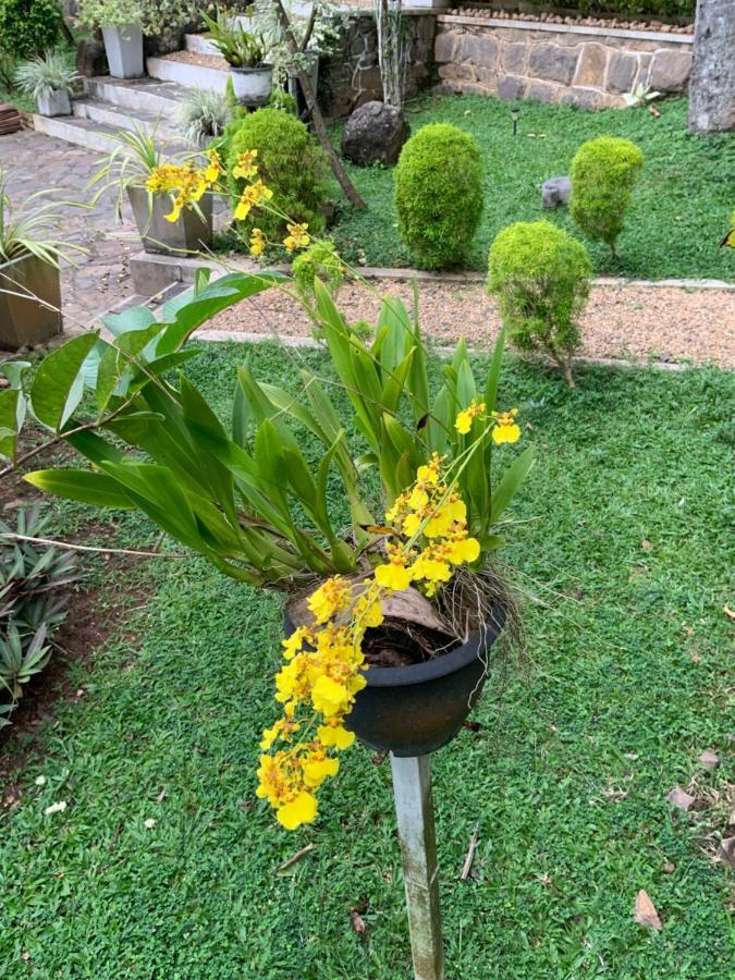 Lali Villa & Fruit Garden Galle Buitenkant foto