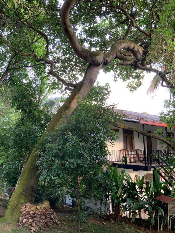 Lali Villa & Fruit Garden Galle Buitenkant foto