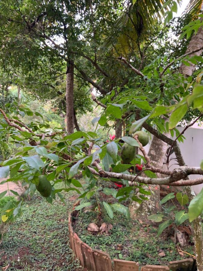 Lali Villa & Fruit Garden Galle Buitenkant foto