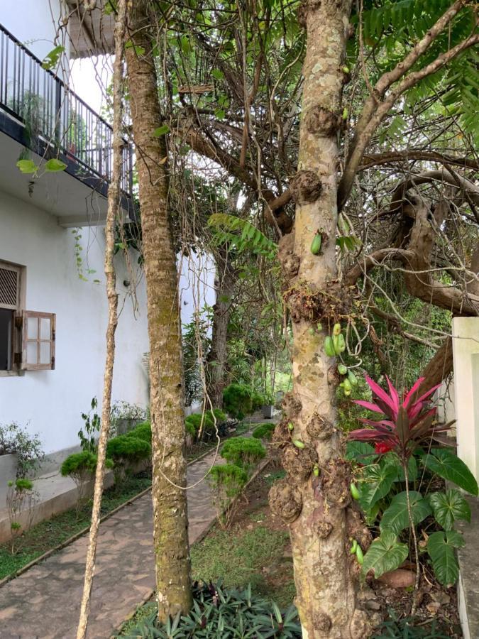 Lali Villa & Fruit Garden Galle Buitenkant foto
