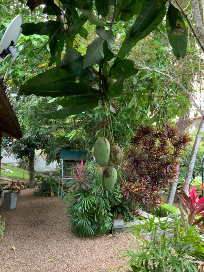 Lali Villa & Fruit Garden Galle Buitenkant foto